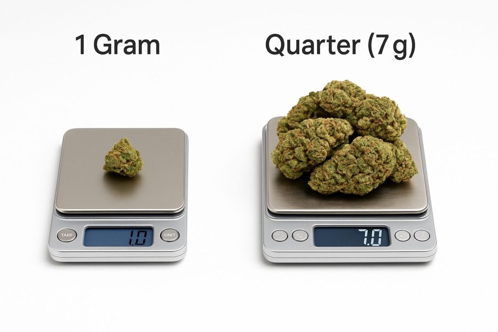 Side-by-side comparison of cannabis on digital scales: 1 gram on the left and a quarter of weed (7 g) on the right, used in a weed measurement guide.