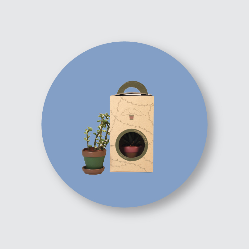 Custom Plant Packaging Boxes by Ideal Custom Boxes