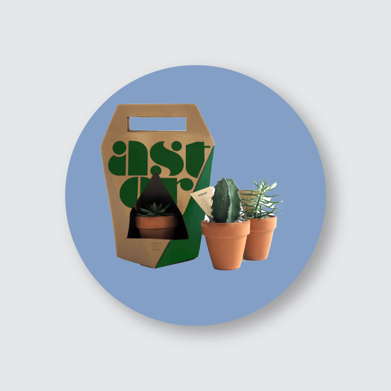 Custom Plant Packaging Boxes by Ideal Custom Boxes