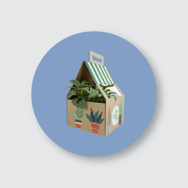 Custom Plant Packaging Boxes by Ideal Custom Boxes