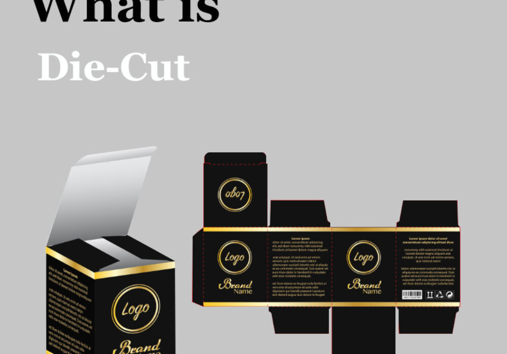 The Die Cutting Process in Packaging-A Complete Guide